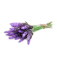 lavender-essential-oil-a4268-800x800.jpg