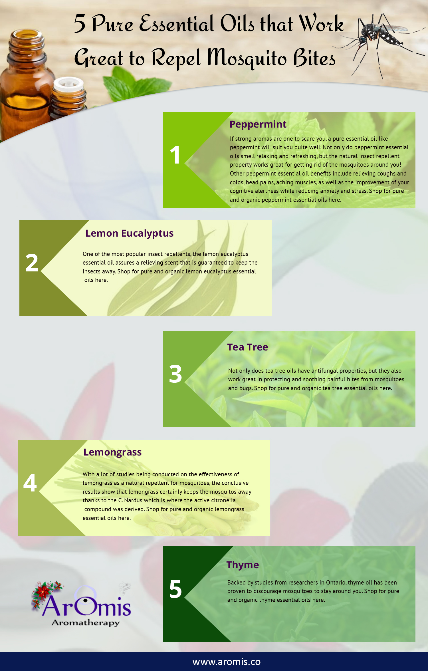 Essential Oils That Repel Bugs & Other Pests